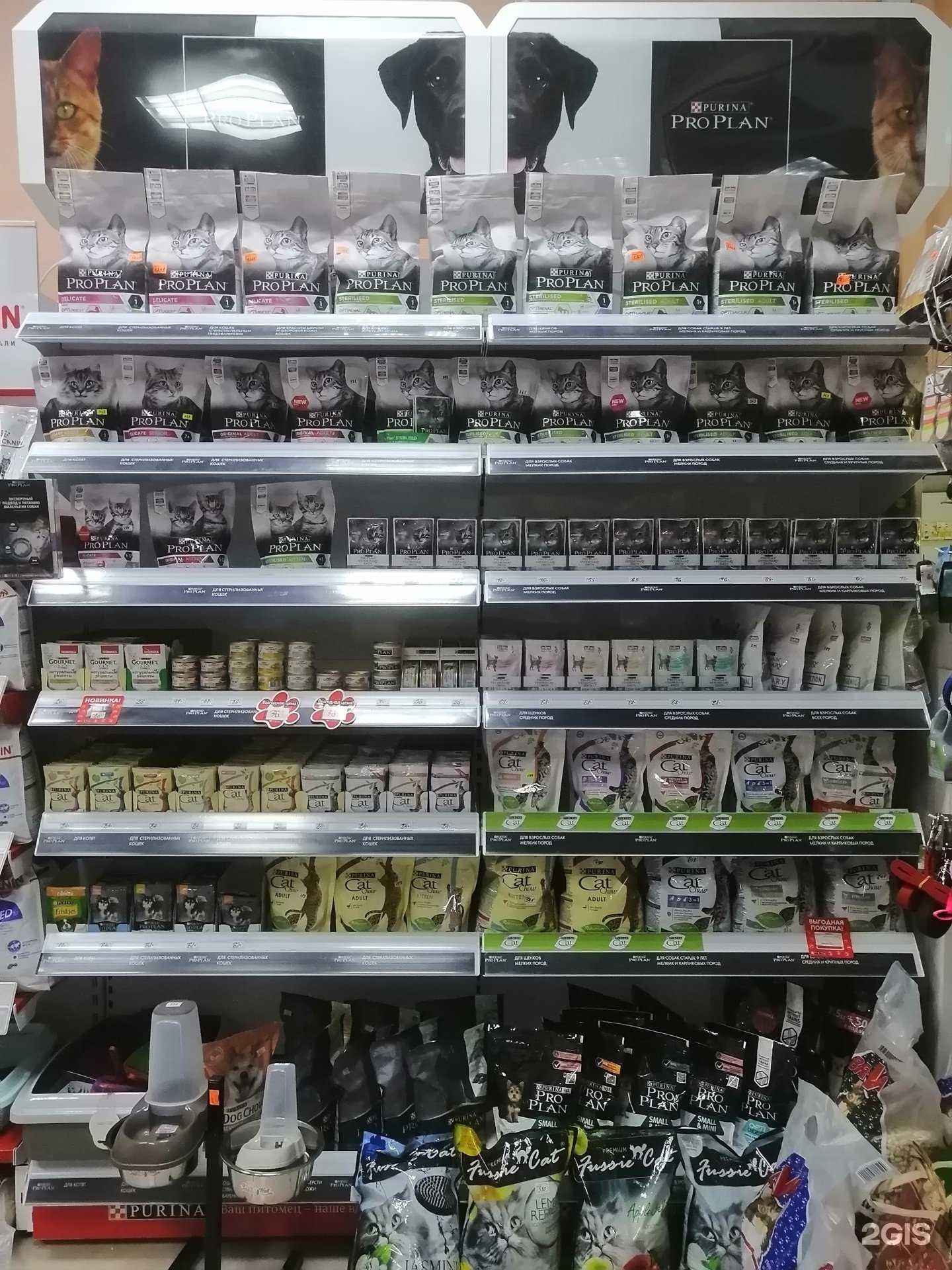 Отзывы на компанию Лапки в Кемерове c фото