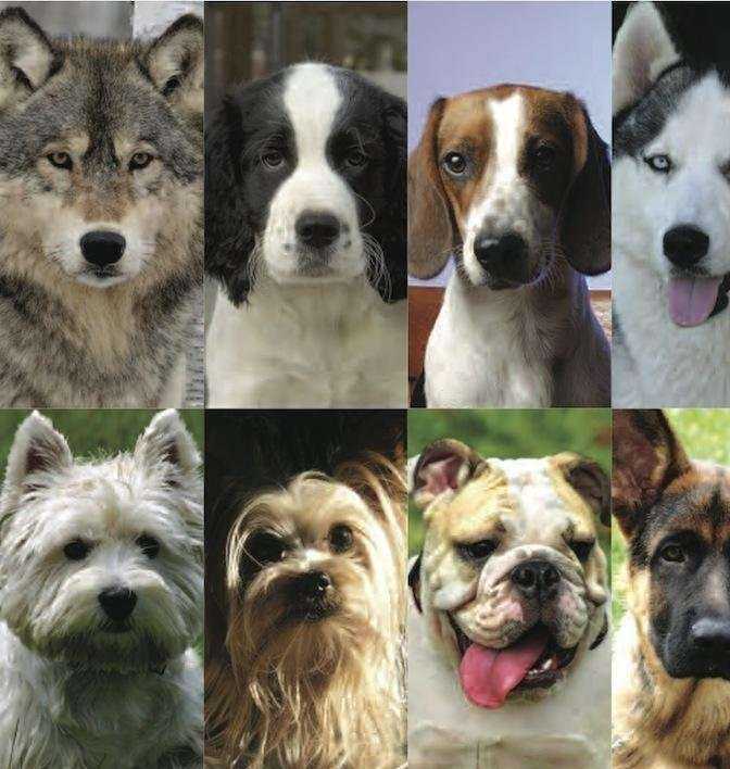 Отзывы на компанию DNK center в г. Екатеринбург c фото