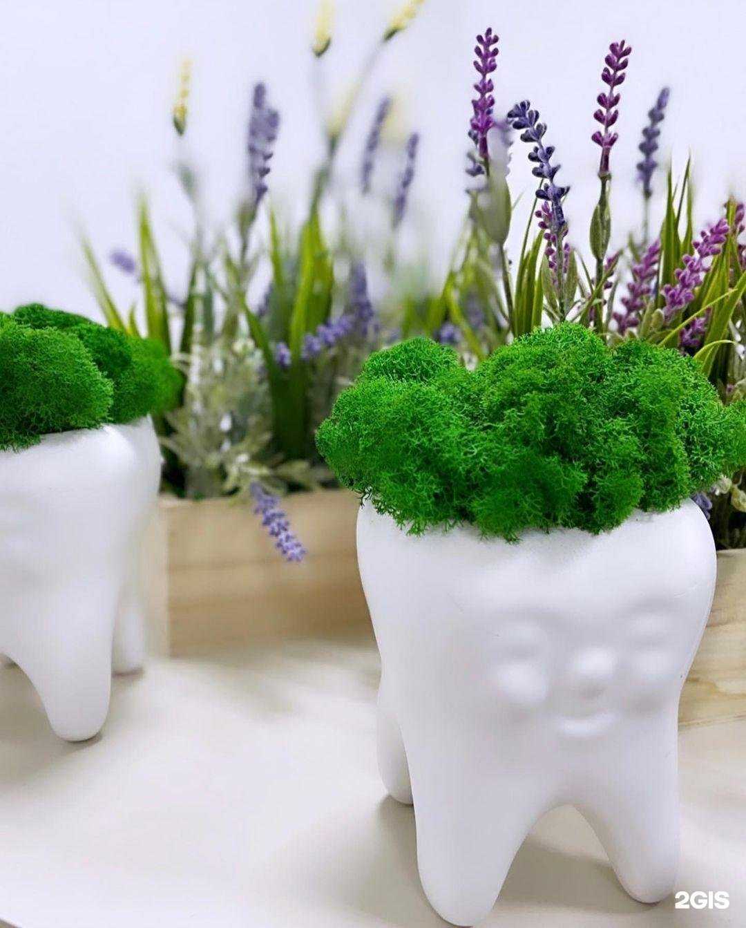 Отзывы на компанию Art Dental в г. Вологда c фото