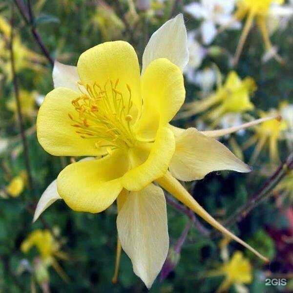 Отзывы на компанию Садоводики в Кимрах c фото