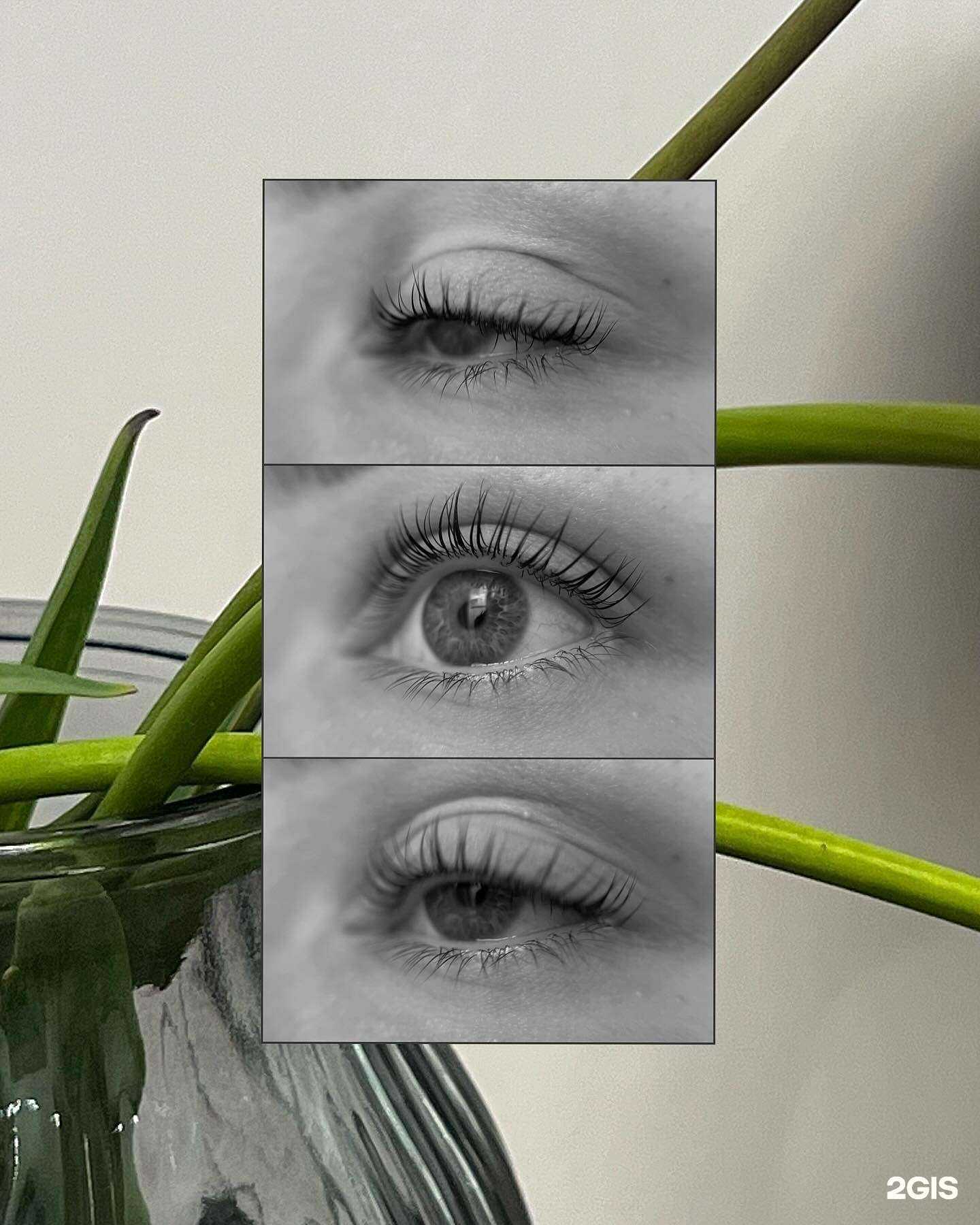 Отзывы на компанию Brows&Lashes в Казани c фото