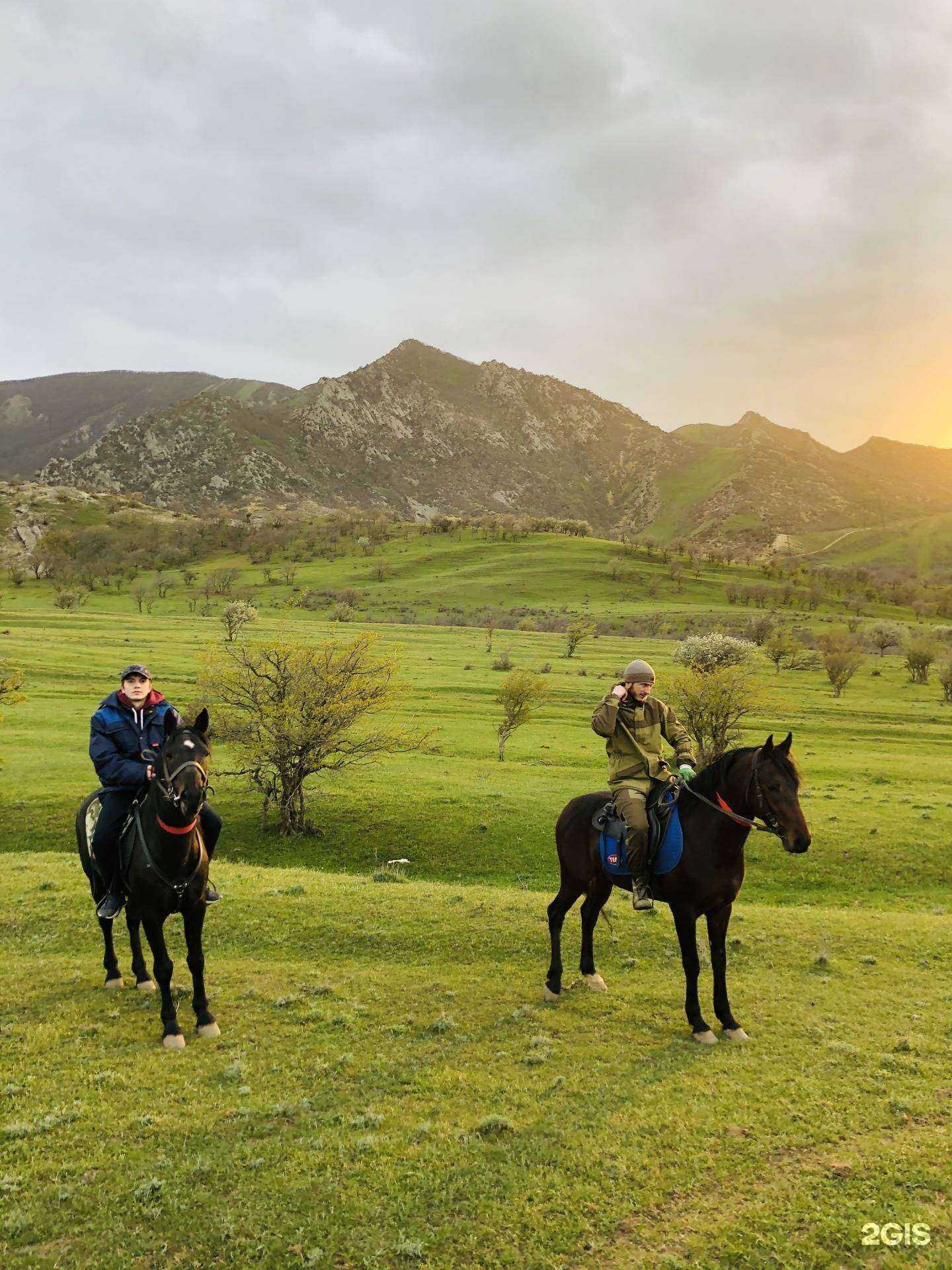 Отзывы на компанию Horses 05  в Махачкале c фото