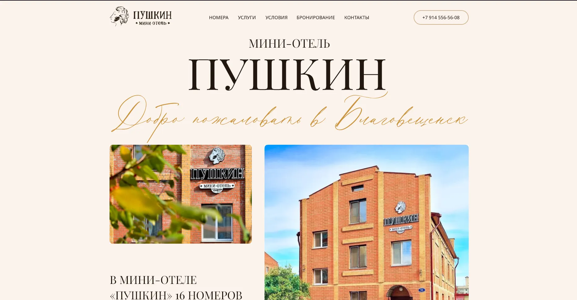 Отзывы на компанию Пушкин в г. Благовещенск c фото