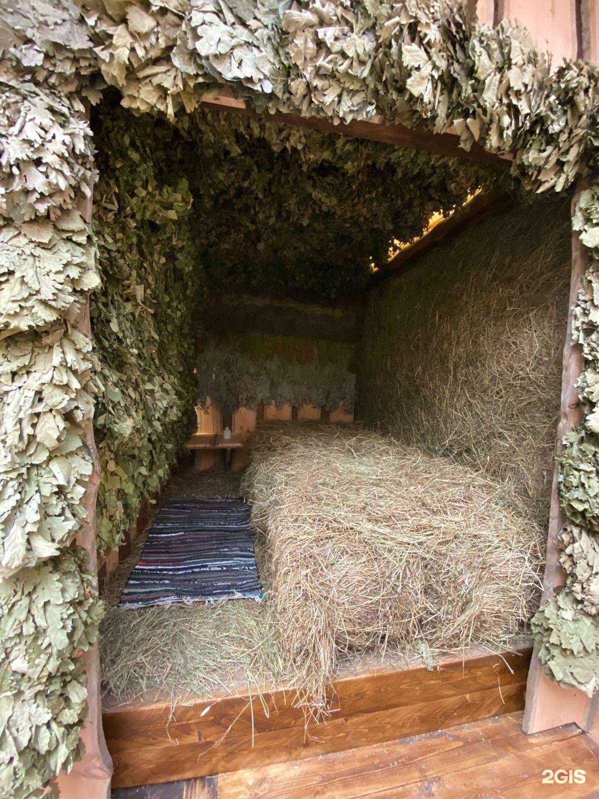 Отзывы на компанию Эвкалипт в г. Петрозаводск c фото