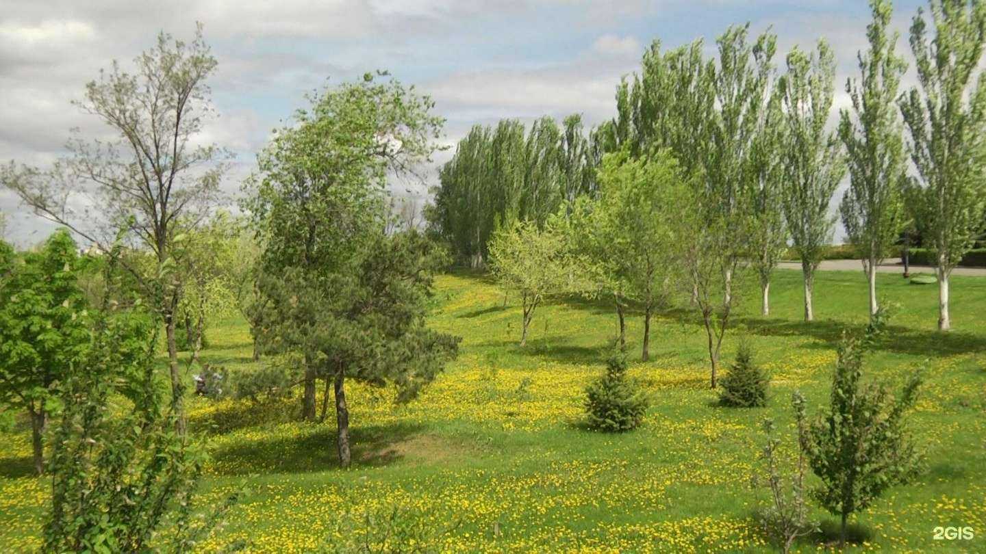 Отзывы на компанию Волгоград 1 в Волгограде c фото