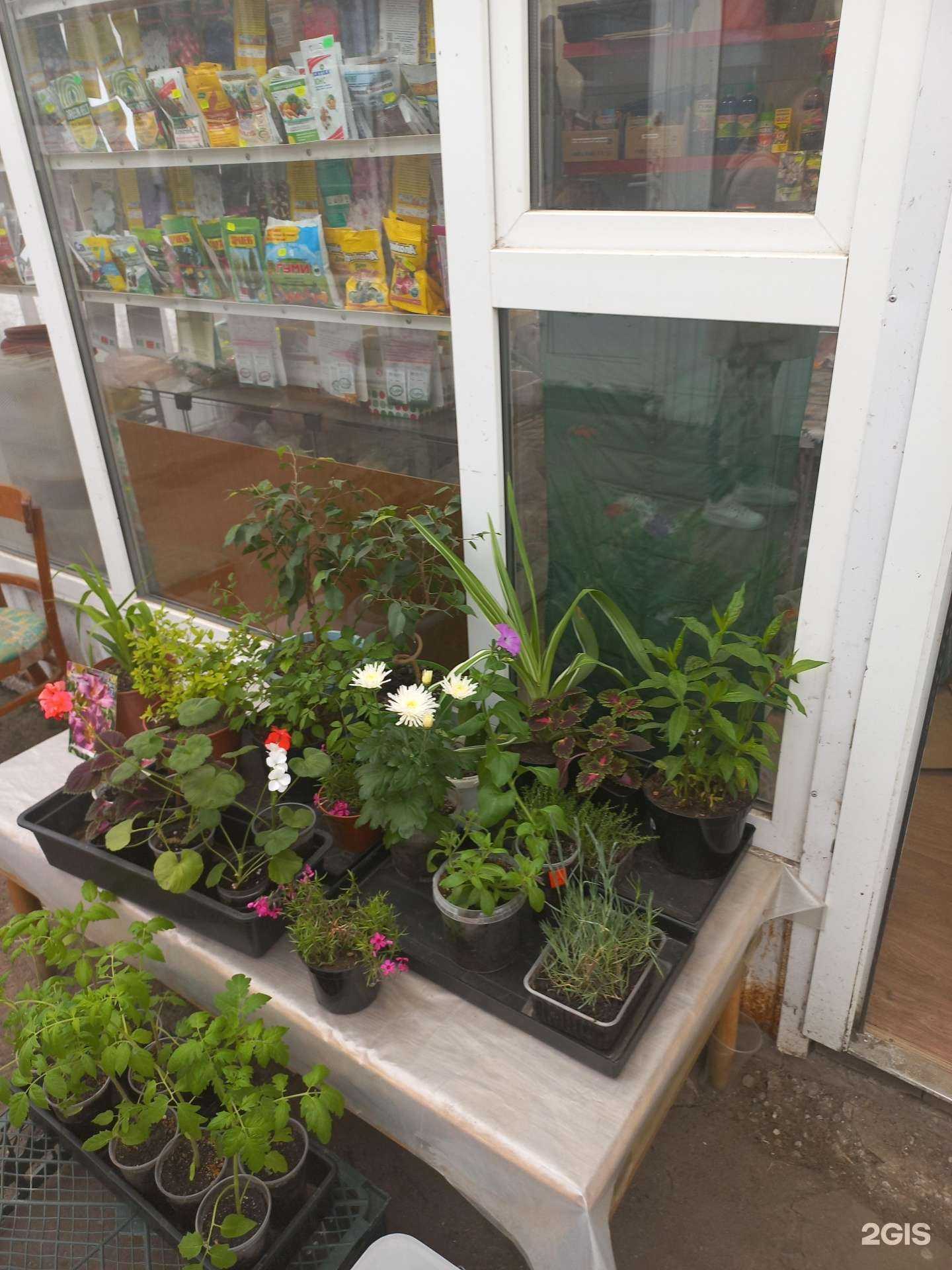 Отзывы на компанию Магазин семян в Самаре c фото