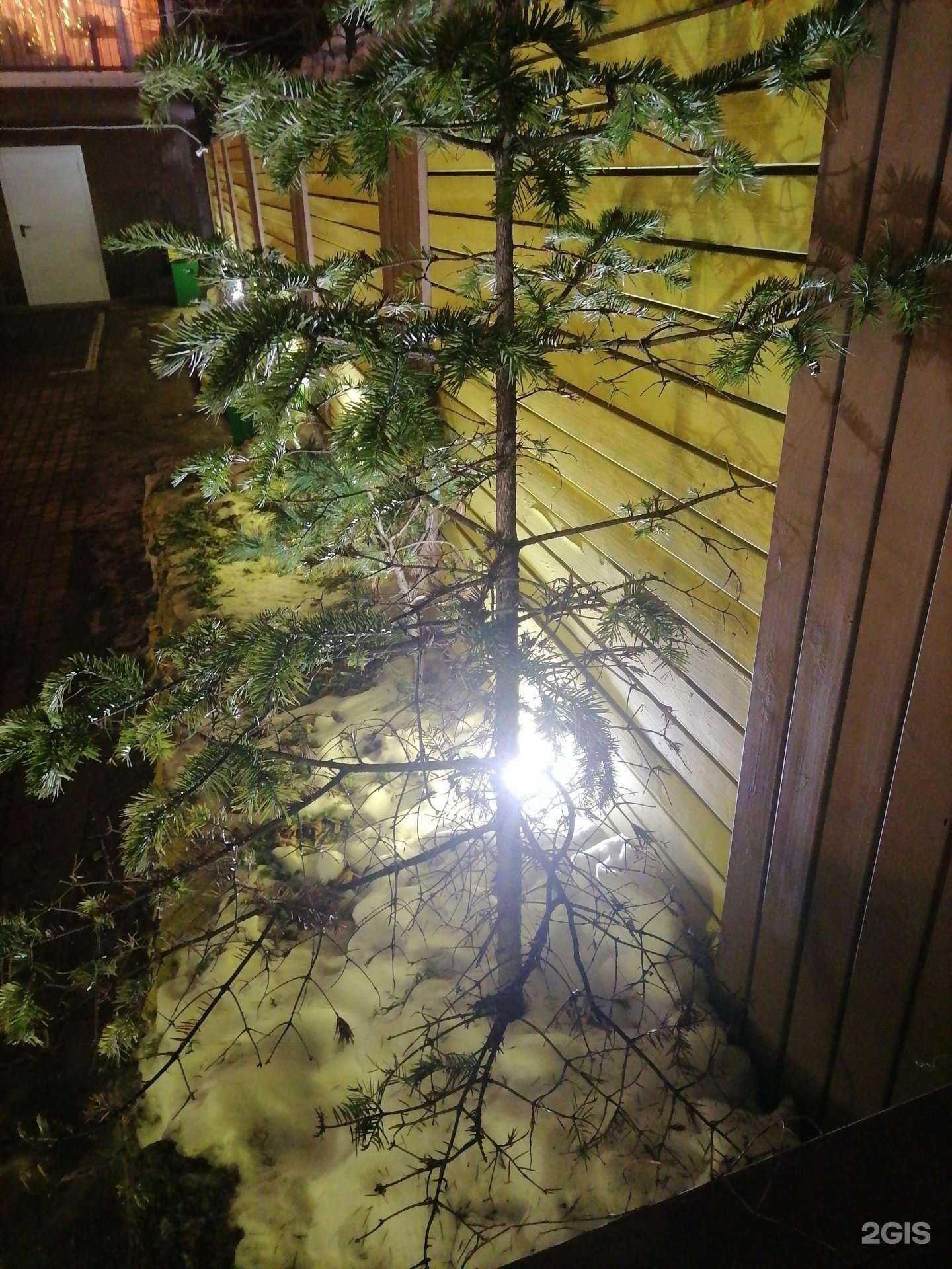 Отзывы на компанию Тесто в Владивостоке c фото - фотография 2 из 2