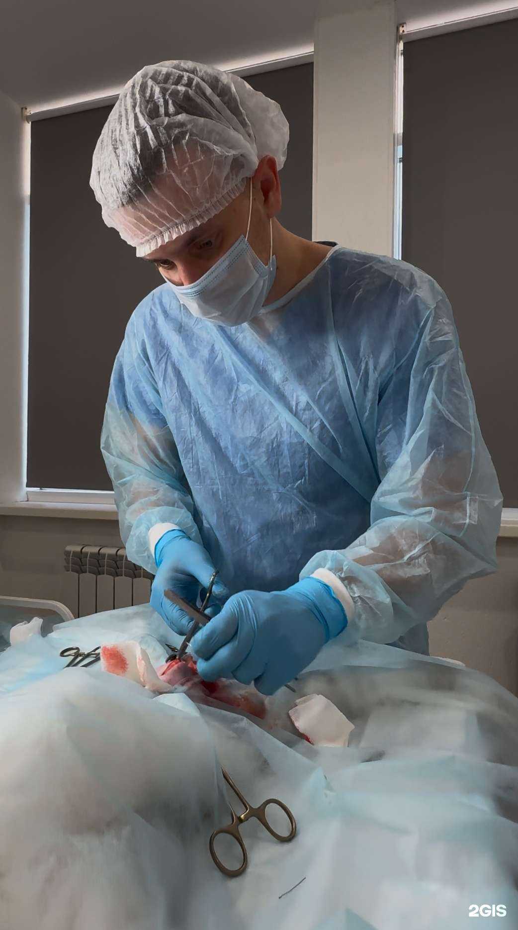 Отзывы на компанию VetLike в Ставрополе c фото