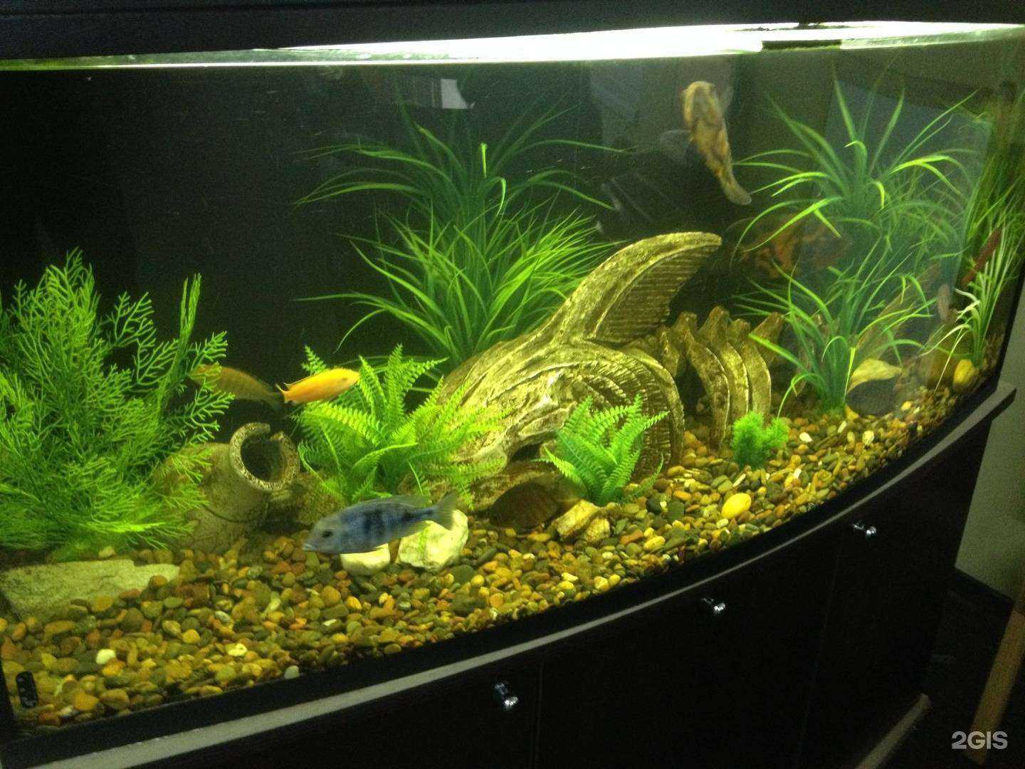 Отзывы на компанию Хонда-Сан в г. Новосибирск c фото