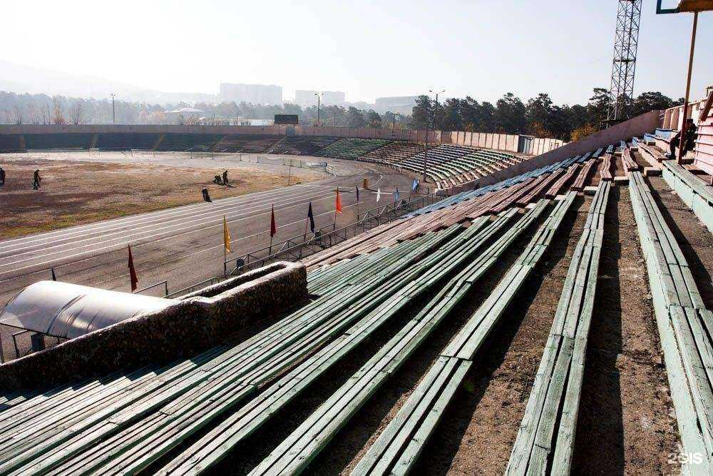 Отзывы на компанию Злая овца в Чите c фото - фотография 2 из 2