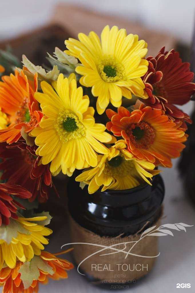 Отзывы на компанию Real touch в Северодвинске c фото