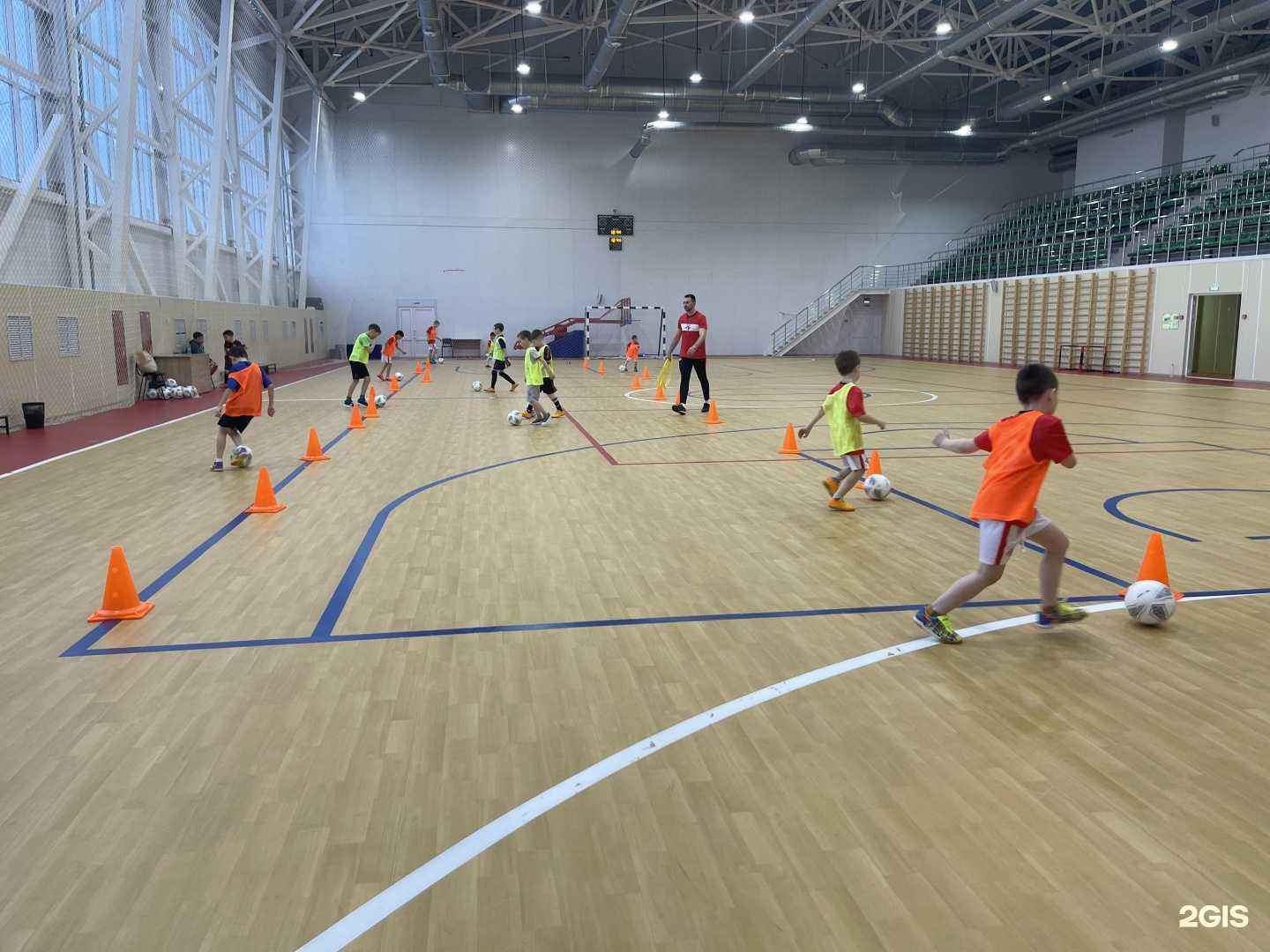 Отзывы на компанию Спартак Юниор в Петропавловске-Камчатском c фото