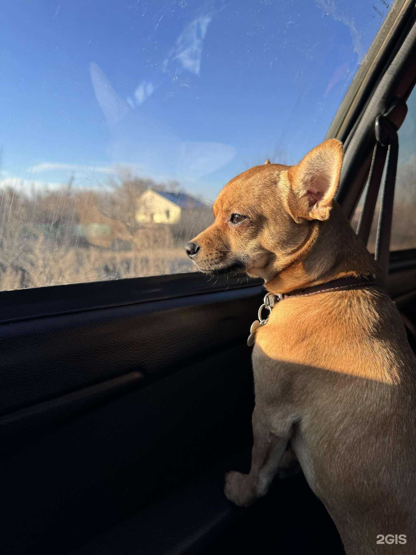 Отзывы на компанию Groomy Roomy в Новокуйбышевске c фото