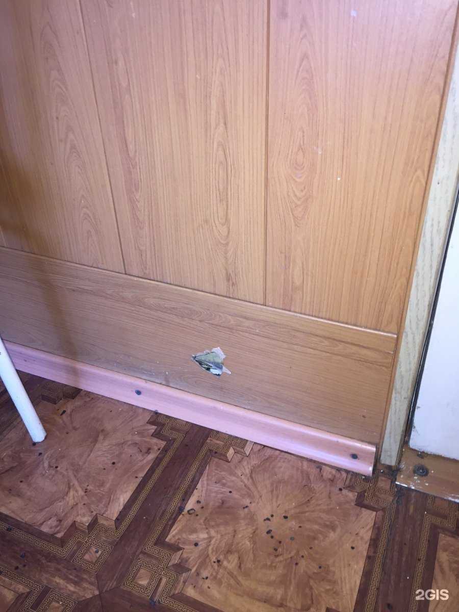 Отзывы на компанию Надежда в Омске c фото