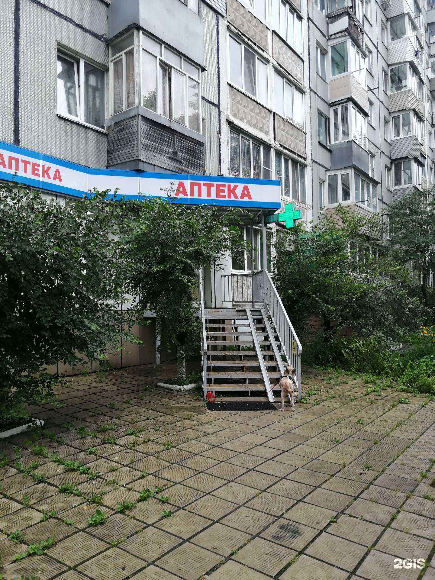 Отзывы на компанию ТвояАптека.рф в г. Владивосток c фото