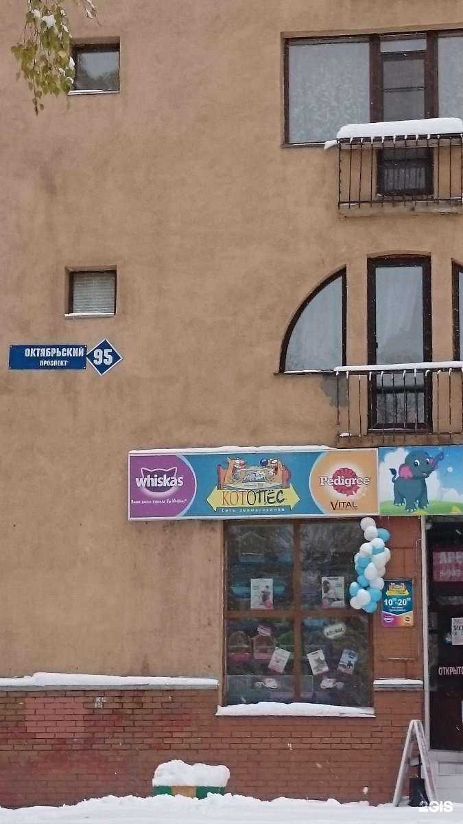 Отзывы на компанию Ролик в Кемерове c фото - фотография 2 из 2