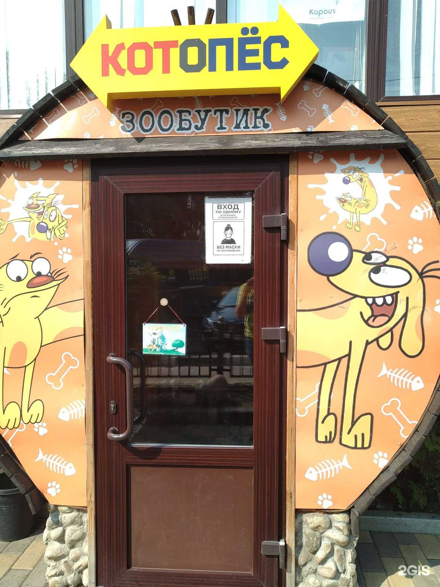 Отзывы на компанию Котопёс в Электроугли c фото