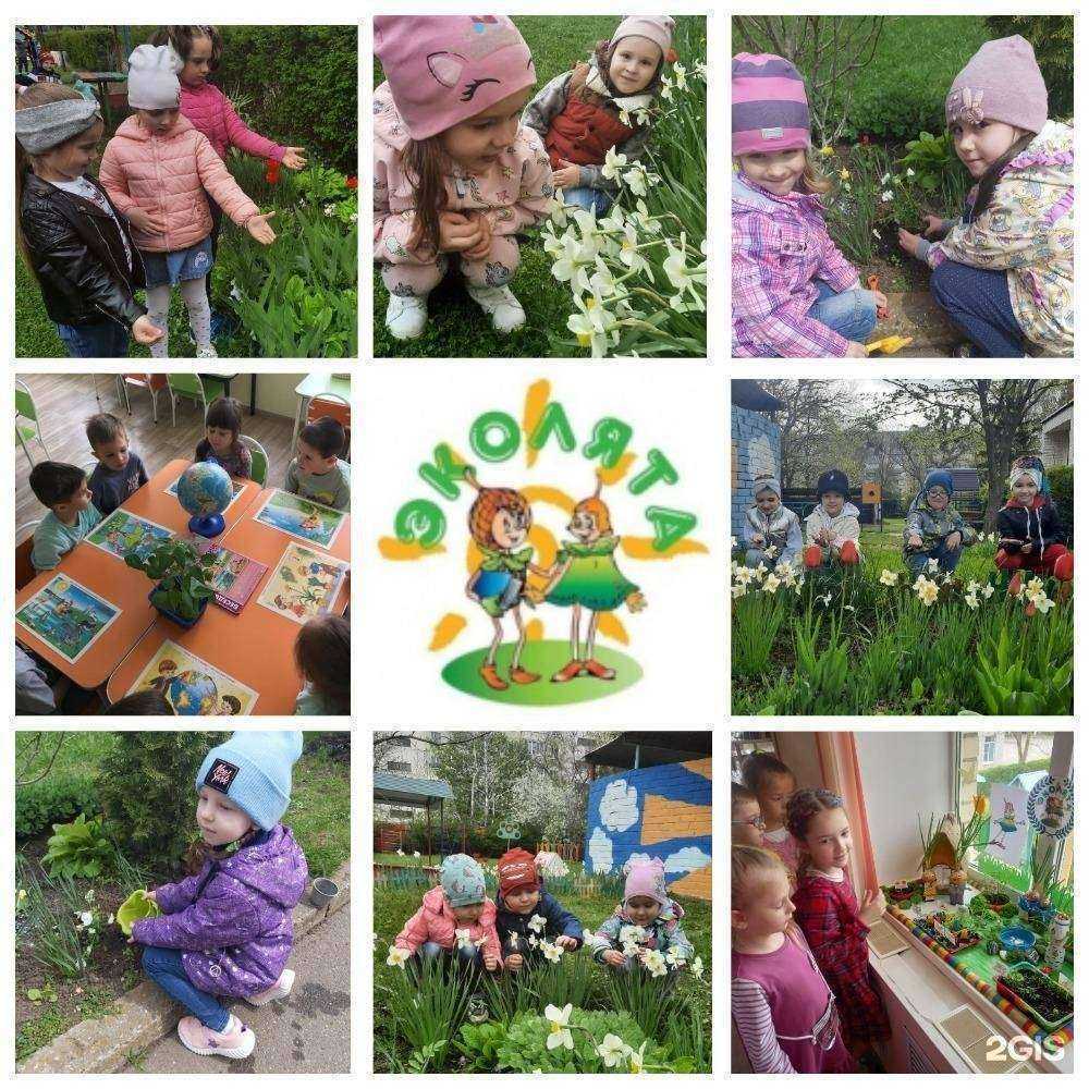 Отзывы на компанию Аленький цветочек в г. Ставрополь c фото