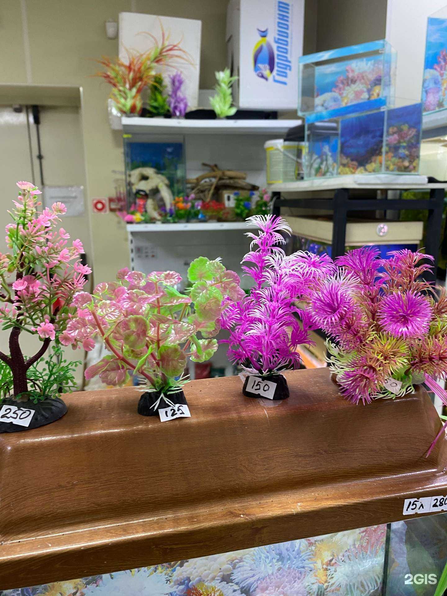 Отзывы на компанию Аквамир в г. Северск c фото