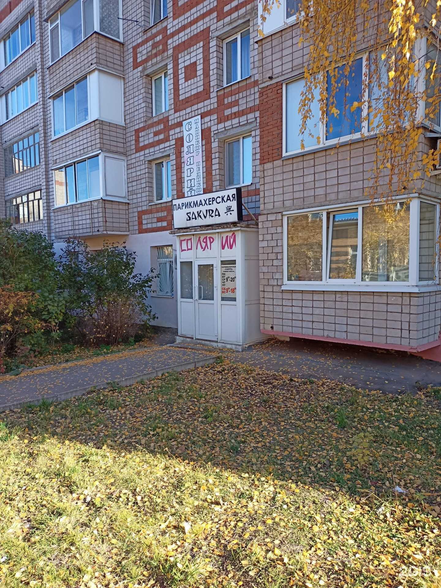 Отзывы на компанию Сакура в г. Ижевск c фото