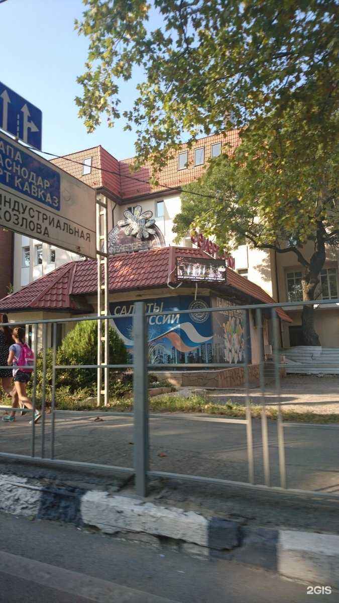 Отзывы на компанию Живая вода в Новороссийске c фото - фотография 2 из 2