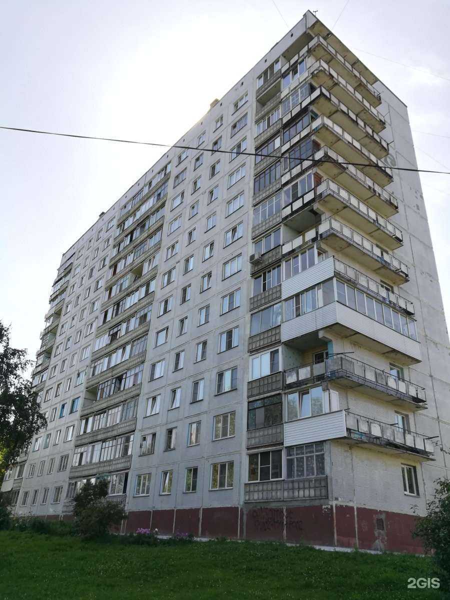 Отзывы на компанию Sharik_novosib в Новосибирске c фото - фотография 2 из 2