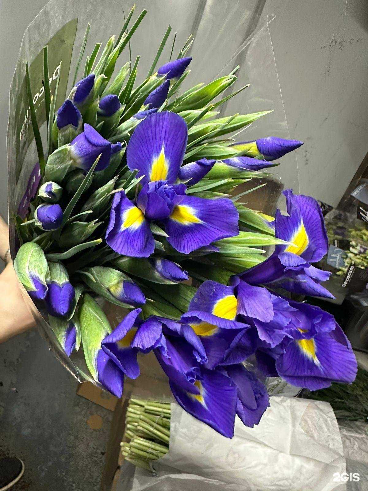 Отзывы на компанию Магазин цветов в Уфе c фото