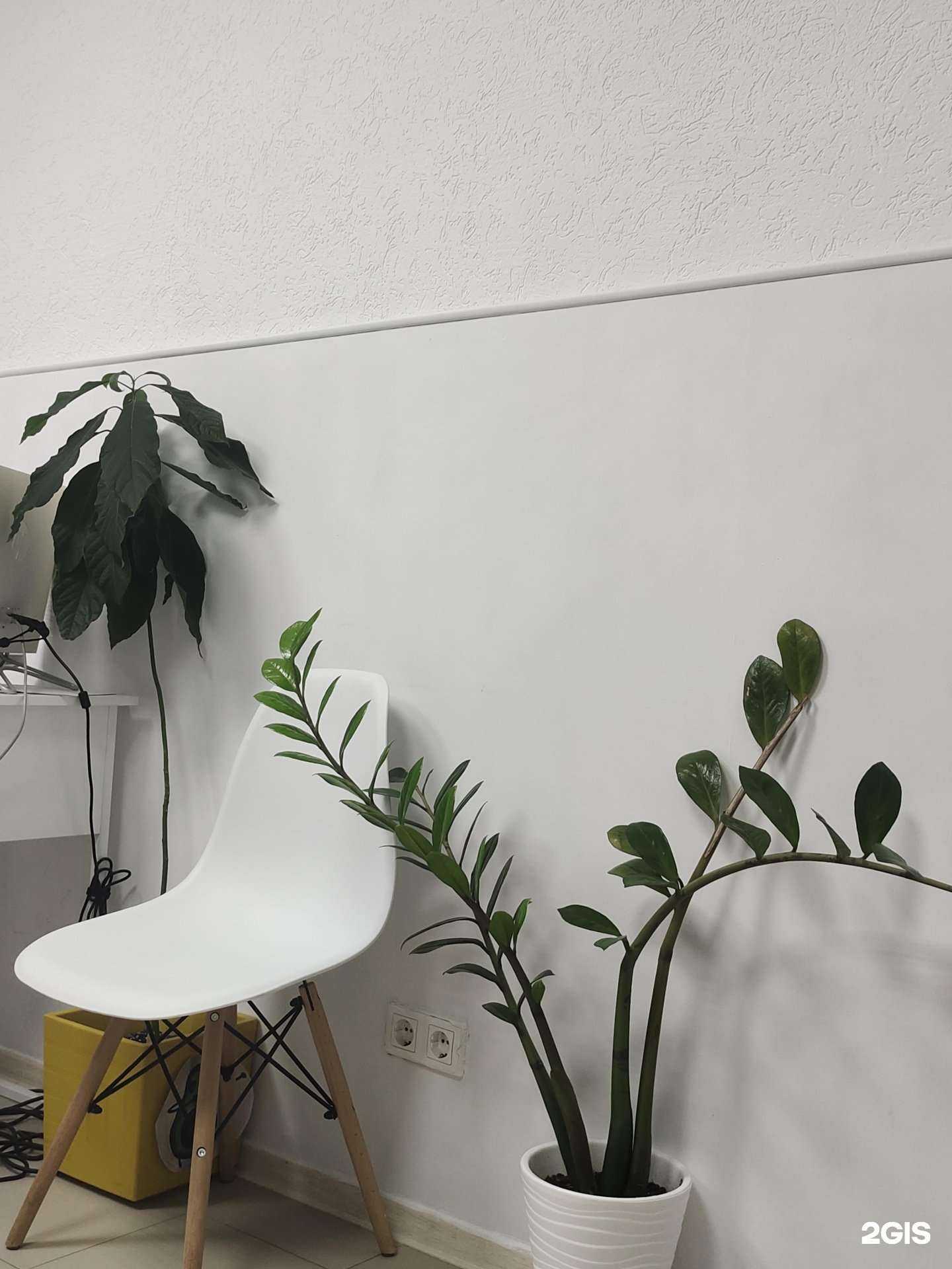 Отзывы на компанию Атмосфера в г. Анапа c фото