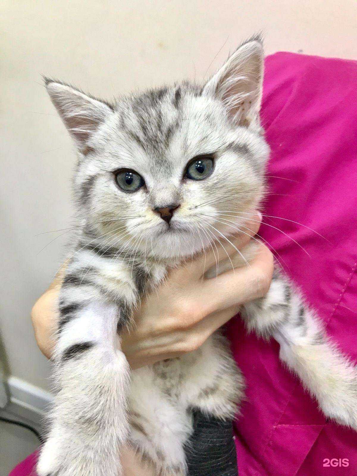 Отзывы на компанию Томас в г. Йошкар-Ола c фото