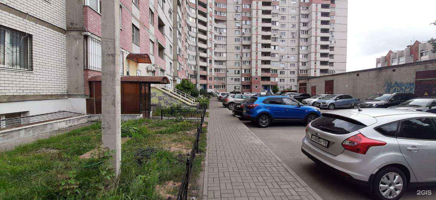 Отзывы на компанию Бонсари в Воронеже c фото - фотография 2 из 2