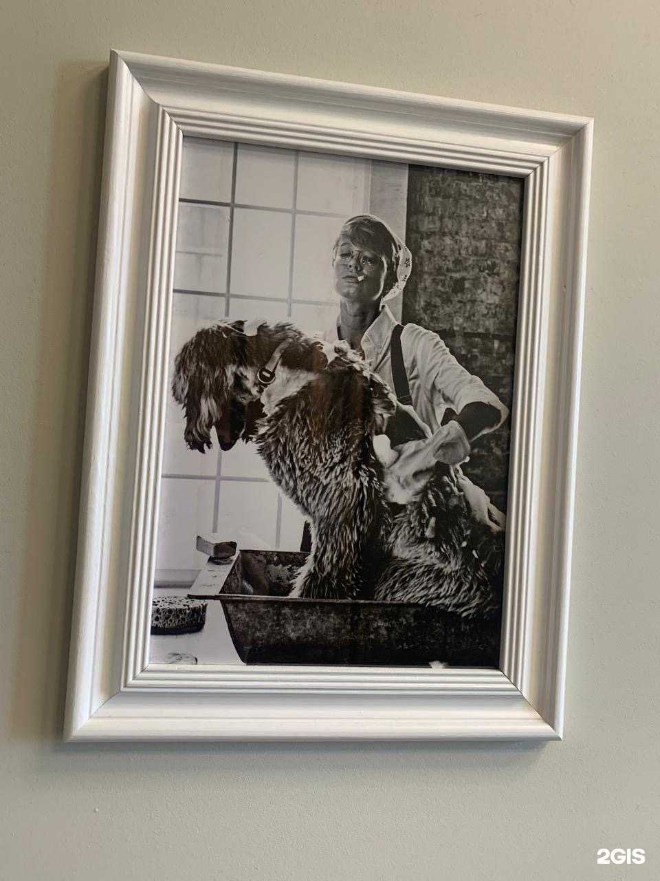 Отзывы на компанию Pet Grooming в Барнауле c фото