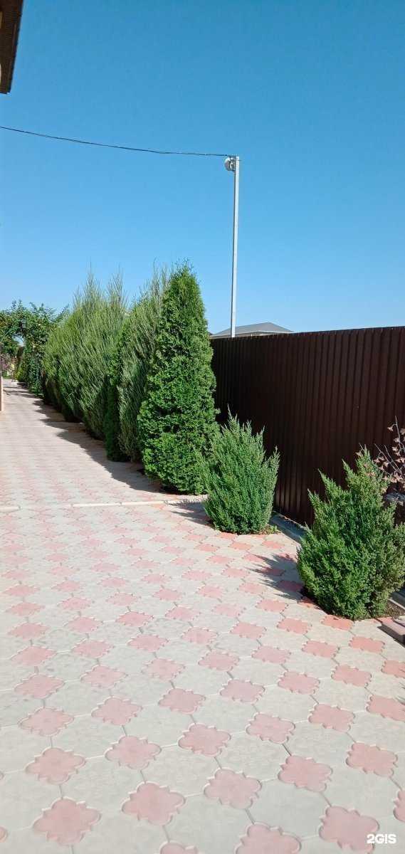 Отзывы на компанию Пенаты в Анапе c фото - фотография 2 из 2