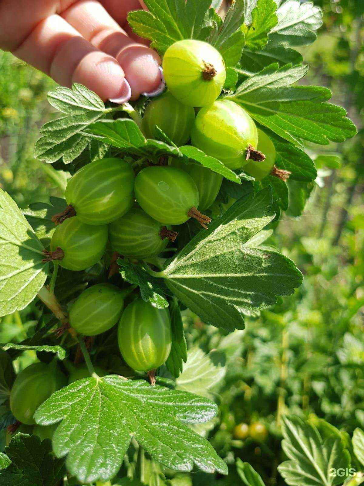 Отзывы на компанию Виктория в г. Магнитогорск c фото