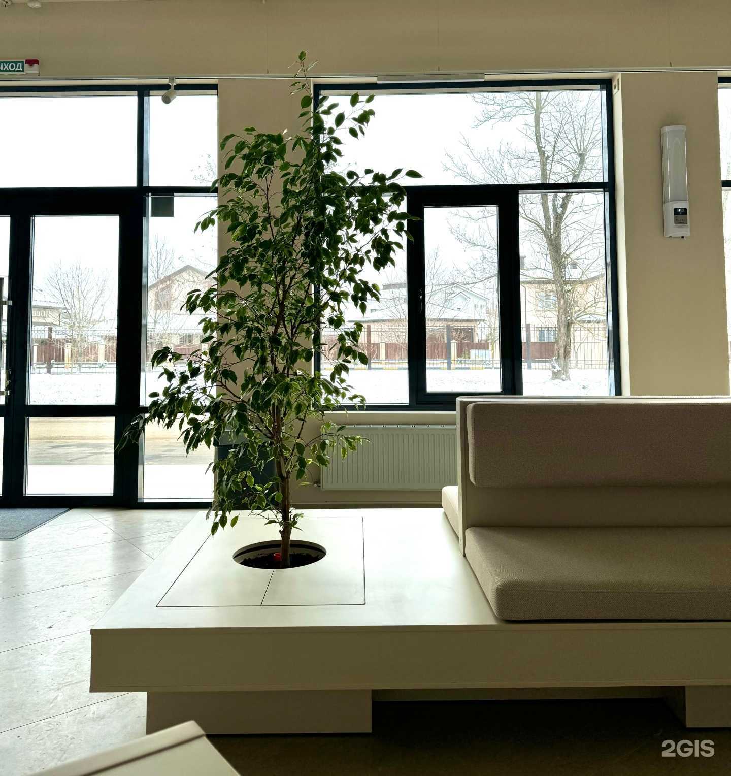 Отзывы на компанию Большая Медведица в Краснодаре c фото