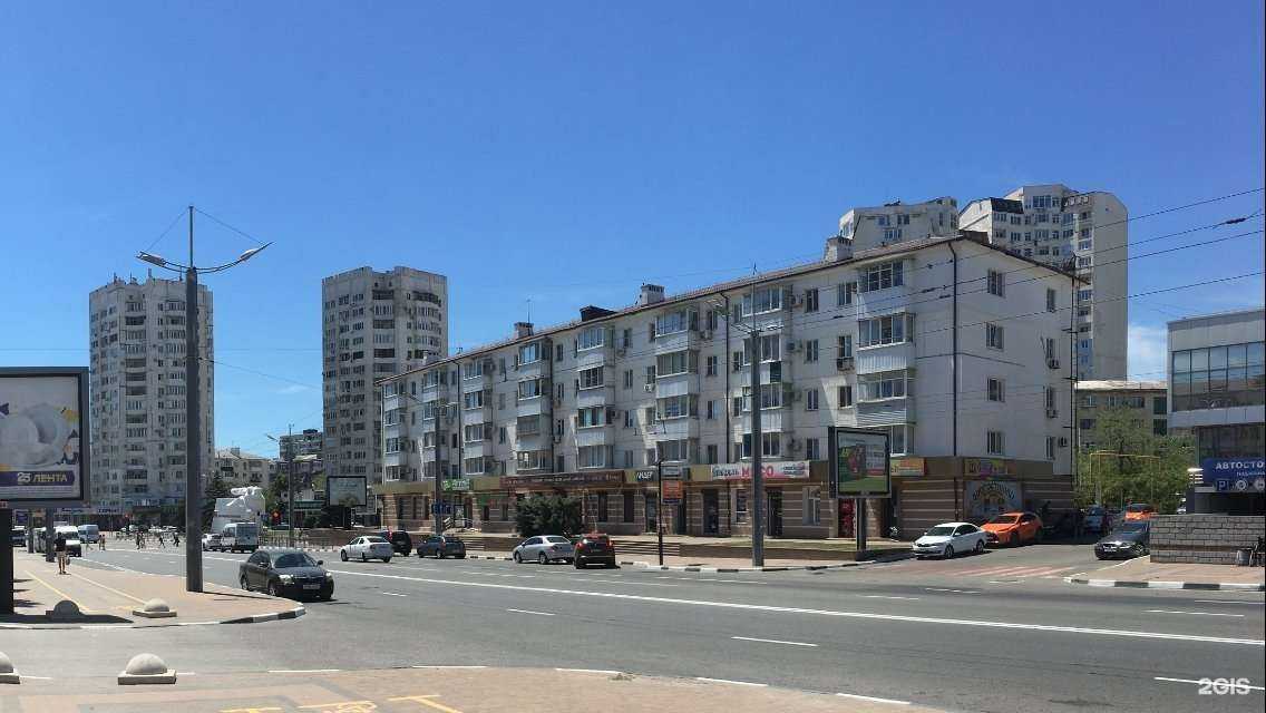 Отзывы на компанию 4етыре лапы в Новороссийске c фото - фотография 2 из 2