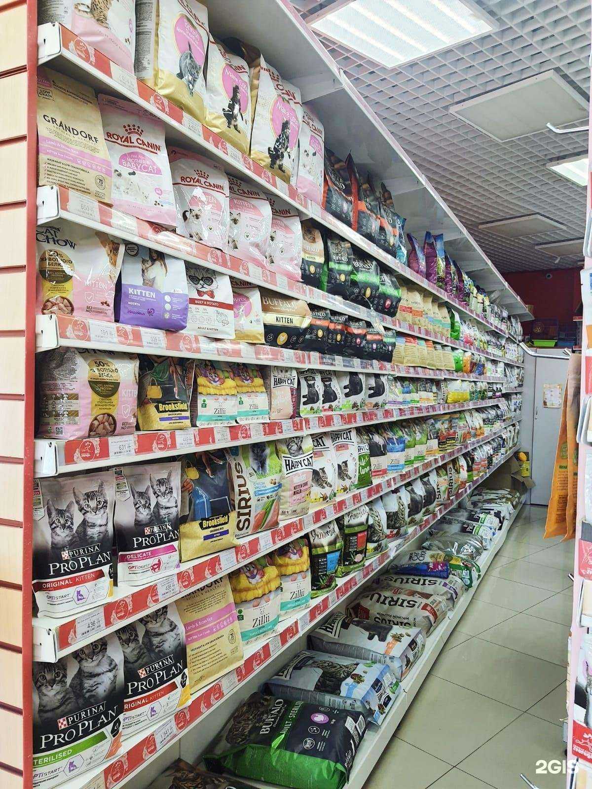 Отзывы на компанию Zveruga.net в Сочи c фото