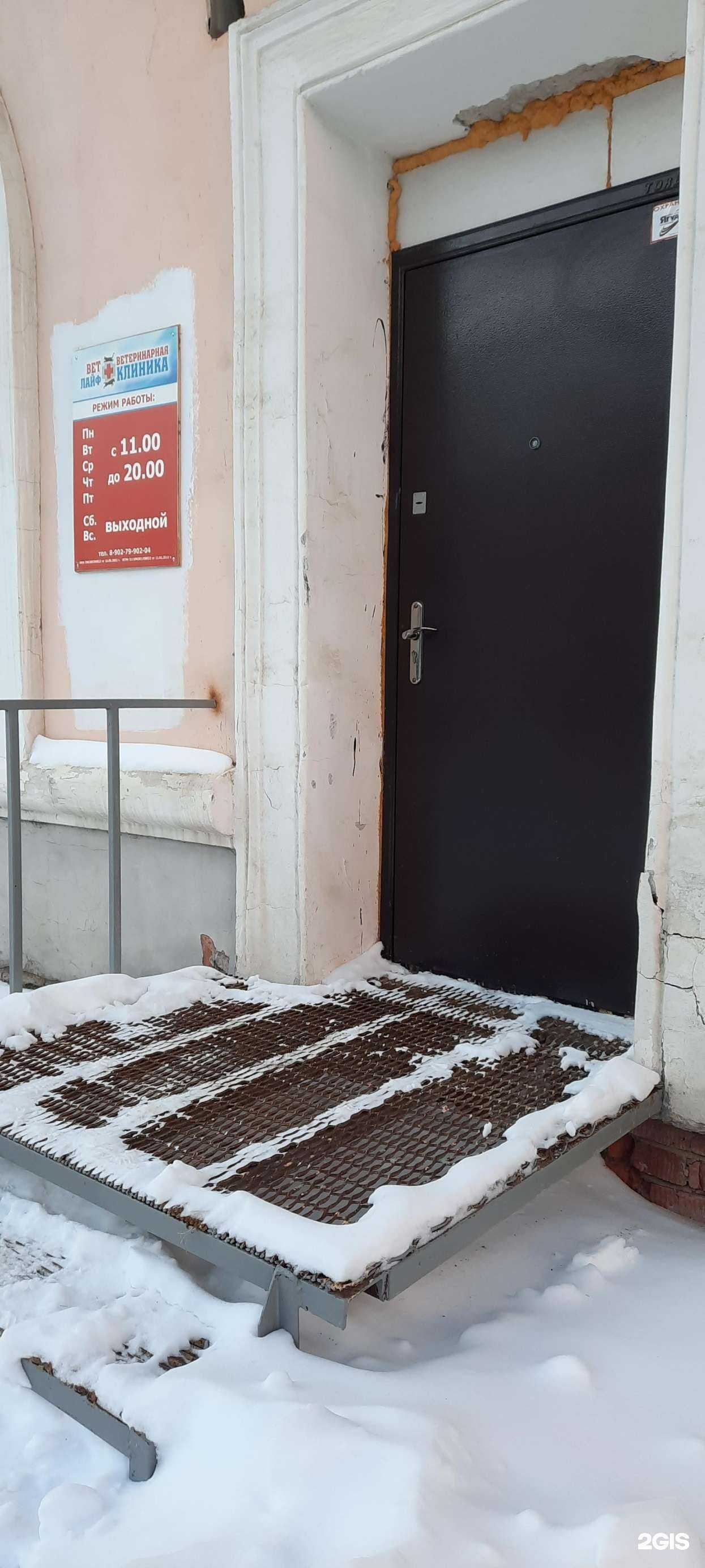 Отзывы на компанию ВетЛайф в г. Пермь c фото