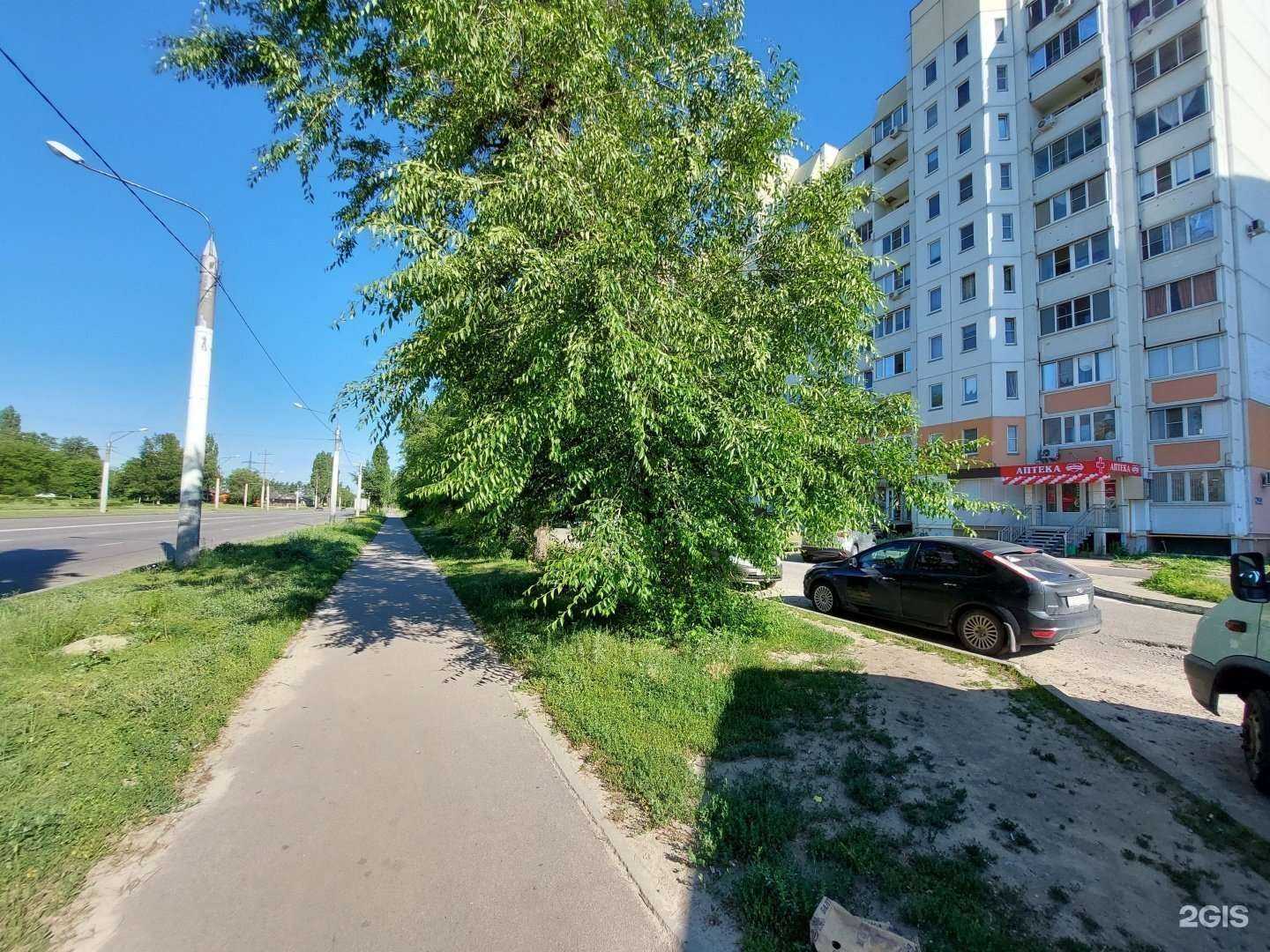 Отзывы на компанию Максавит в Воронеже c фото