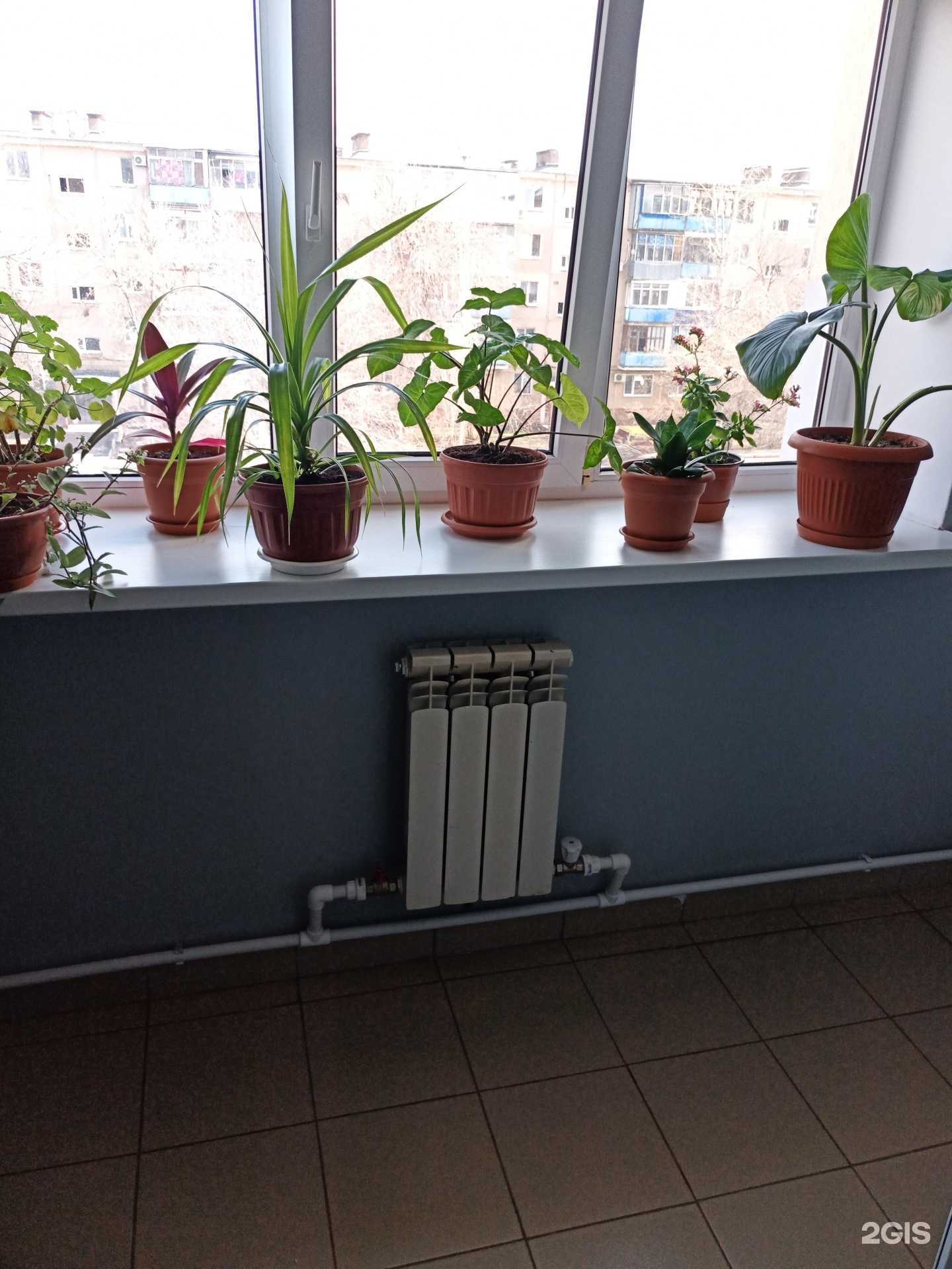 Отзывы на компанию Визум в Оренбурге c фото - фотография 2 из 2