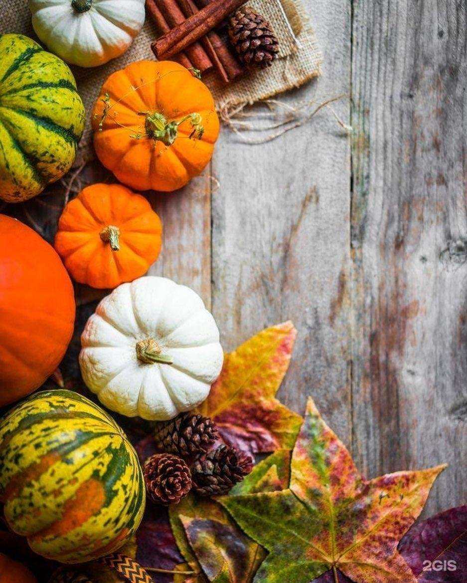 Отзывы на компанию London House в г. Ханты-Мансийск c фото