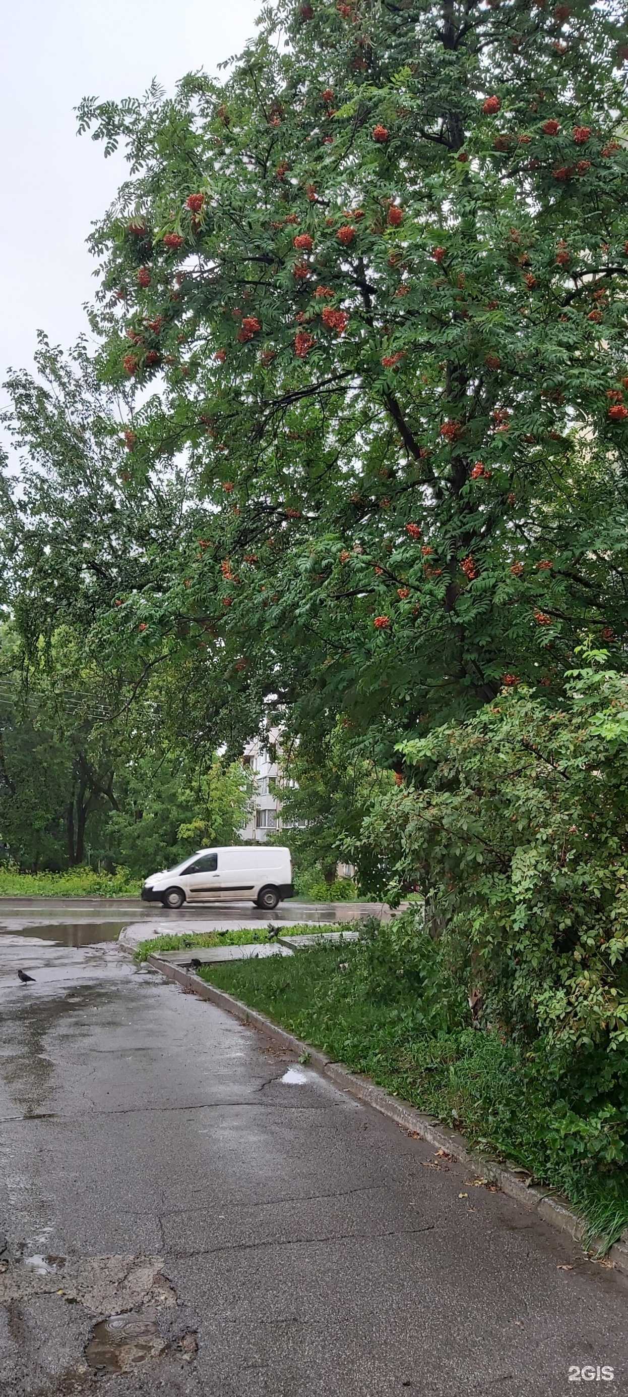 Отзывы на компанию Стрекоза в г. Лысьва c фото