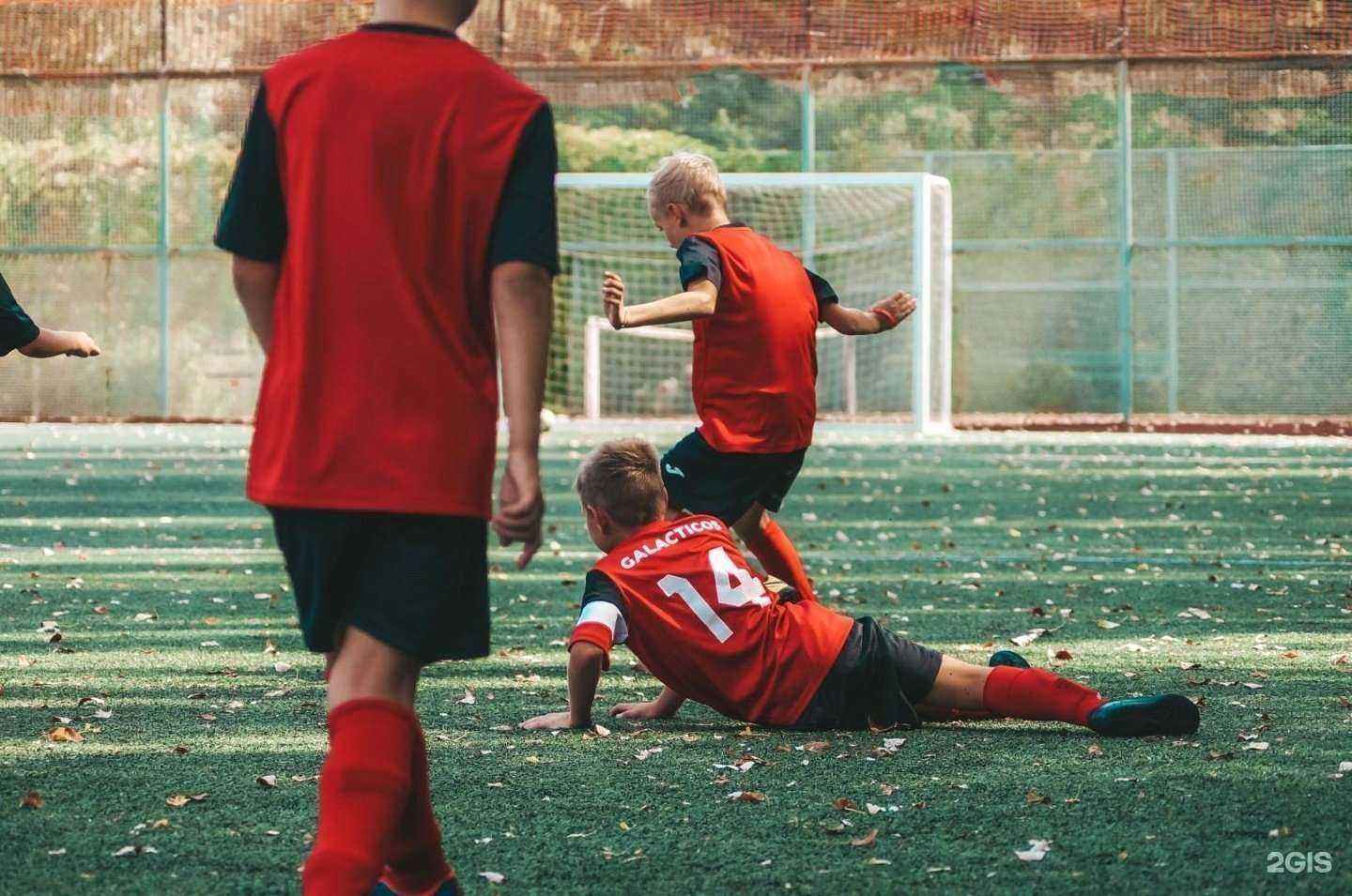 Отзывы на компанию Галактикос в г. Тольятти c фото