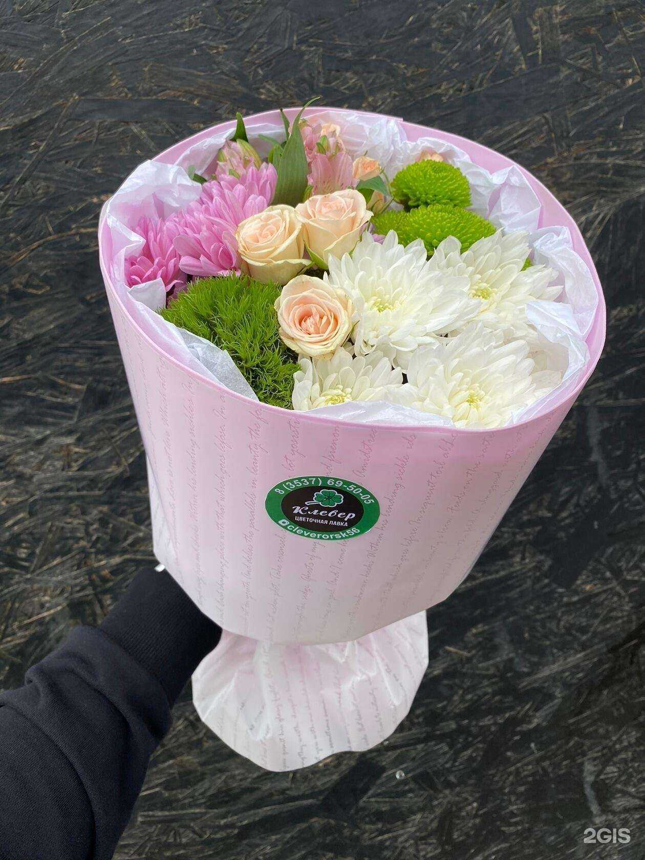 Отзывы на компанию Клевер в Орске c фото