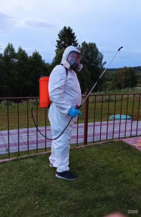 Отзывы на компанию Дезкомфорт в Кемерове c фото