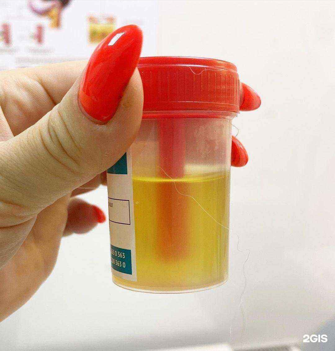 Отзывы на компанию Vet Planet в г. Анапа c фото