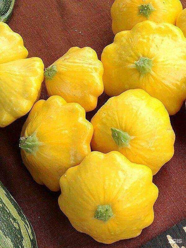 Отзывы на компанию Северный сад в Сыктывкаре c фото