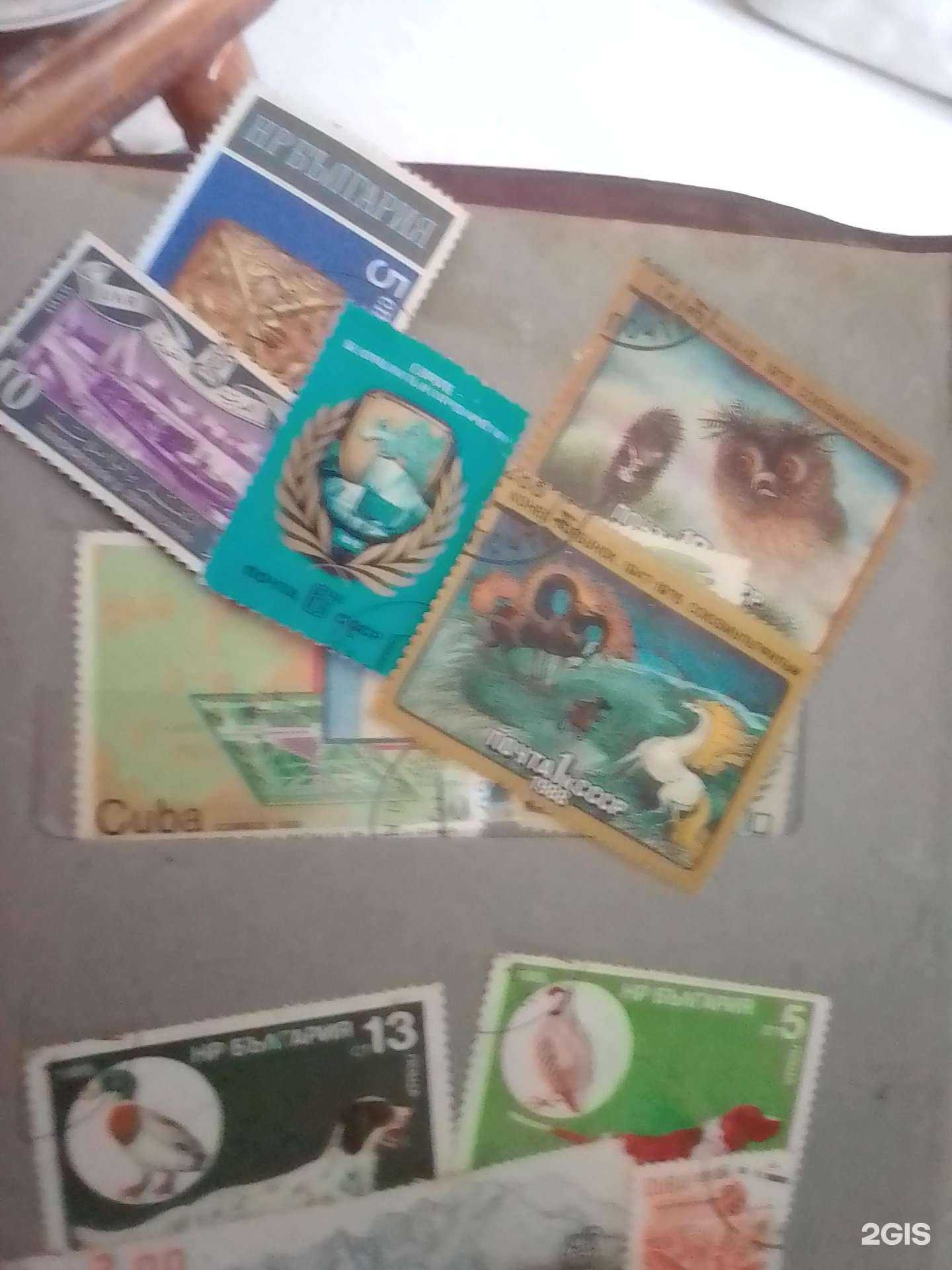 Отзывы на компанию Нумизмат в Гатчине c фото