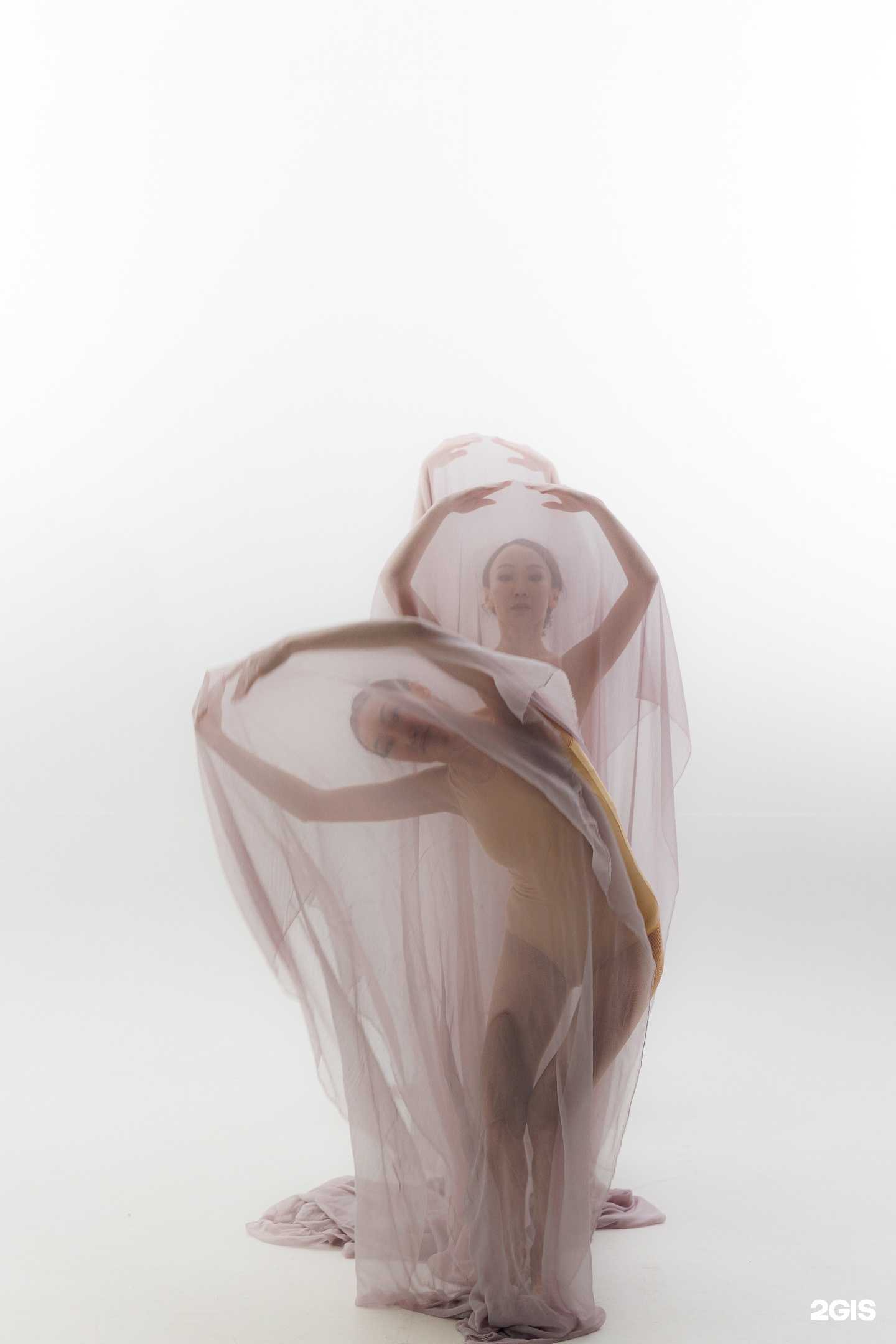 Отзывы на компанию Аявна в Якутске c фото