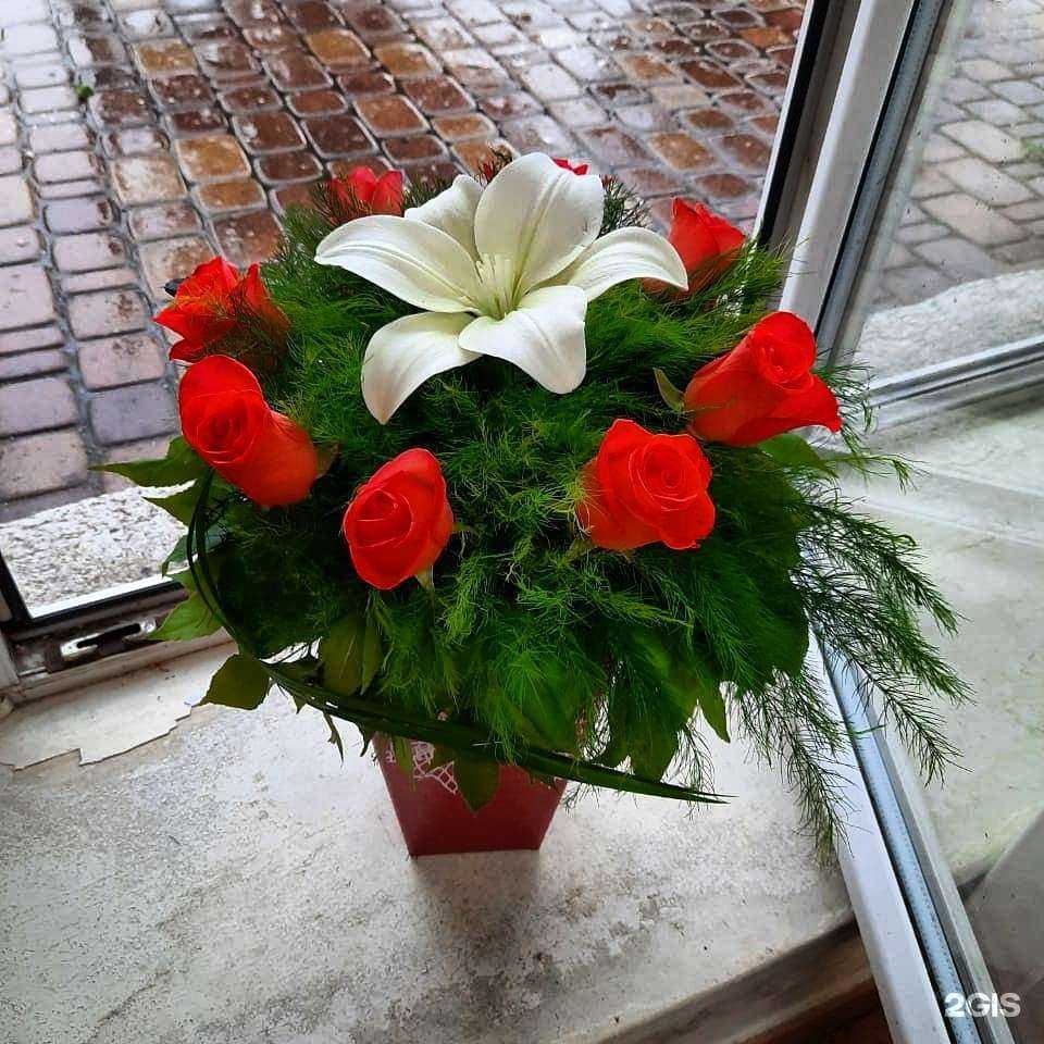 Отзывы на компанию Лили Анна в г. Новороссийск c фото