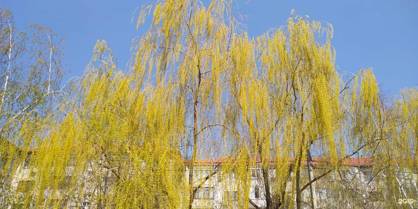 Отзывы на компанию Парикмахерская в Краснодаре c фото - фотография 2 из 2